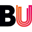BA (Hons) Accounting Logo